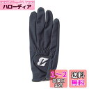 BRIDGESTONE(ブリヂストン) ゴルフグローブ TOUR GLOVE GLG13 右手用 メンズ ブラック 21cm