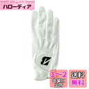 BRIDGESTONE(ブリヂストン) ゴルフグローブ TOUR GLOVE GLG13 右手用 メンズ ホワイト 26cm