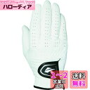 キャスコ(Kasco)ゴルフグローブ 合成皮革 DNA SUEDE SF-2010R 右手着用モデル