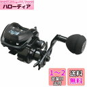 AbuGarcia (アブガルシア) MAX DLC MHPーL 大画面 デジタルラインカウンター 左巻き 中深溝 ハイギヤ パワーハンドルモデル