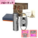 【高い品質】PIPITA 直噴ターボライター トーチライター ギフトセット 携帯便利 防風 注入式 ジェットライター 着火用ガスライター 素敵なギフトボックス付き(ガスなし) (セット(ライター+ カッター))