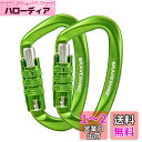 カラビナ 12KN オートロック式 BRAVESHINE 耐荷重1200kg ロックカラビナ Dリング 軽量 ハンモック タープ キャンプ用 荷物のフック 犬のリード用 多機能 2個セット (グリーン 2個)