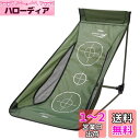 Tabata(タバタ) ゴルフ 練習用品 練習器具 アプローチ練習 2WAYアプローチ GV0371 グリーン オープン時(990×680×590mm)