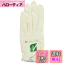 BRIDGESTONE(ブリヂストン) ゴルフグローブ TOUR GLOVE GLG12C 限定カラー