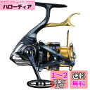 シマノ(SHIMANO) スピニングリール 21 BB-X テクニウム 2500DXG SR 磯