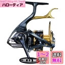 シマノ(SHIMANO) スピニングリール 21 BB-X テクニウム C4000D TYPE-G SR 磯