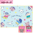 スケーター (skater) レジャーシート S 60×90cm クレヨンしんちゃん 21 VS1-A