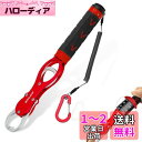 サンライク(SANLIKE)フィッシュグリップ 計量付き フィッシュキャッチャー 滑り止め 魚掴み器 魚つかみ 計量 海水対応 軽量 アルミ製 紛失防止ロープ付...