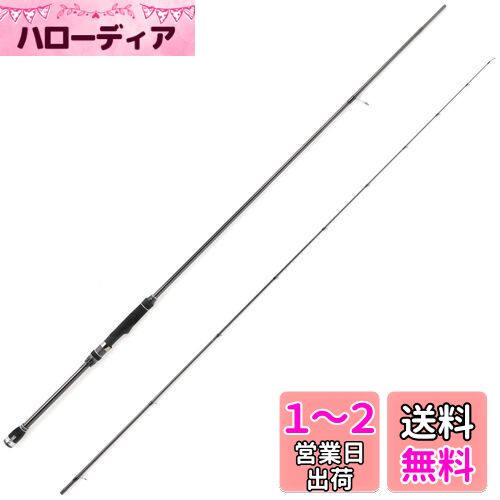 AbuGarcia (アブガルシア) ソルティーステージプロトタイプ エギング SaltyStageProtoType Egisys XEGS-862M