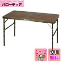キャプテンスタッグ(CAPTAIN STAG) アウトドアテーブル テーブル フォールディングテーブル 120×60cm 高さ4段階調節可能 4~6人用 アルミ...