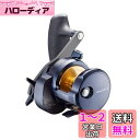 ダイワ(DAIWA) ベイトリール 22 ソルティガ 15H-SJ(2022モデル)