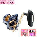 ダイワ(DAIWA) ベイトリール 22 ソルティガ 15HL(2022モデル)