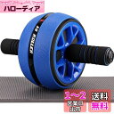 AUOPLUS 腹筋ローラー 膝マット付き アブホイール 腹筋 トレーニング器具 筋トレグッズ エクササイズローラー 体幹 ストレッチ ダイエット器具 アブロー...