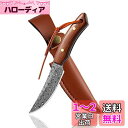 Dcenrun シースナイフ サバイバルナイフ フィッシングナイフ フルタング構造 アウトドアナイフ キャンプ 登山 魚釣り(4)
