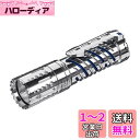 ACEBEAM E70 懐中電灯 CREE XHP70.2 LEDライト超高輝度 4600lm 実用点灯11日 IP68防水 かいちゅうでんとう 小型 強力 EDC フラッシュライト ハンディライト 非常灯 美しくファッショナブル、安全で安定 防災 護身用 停電対策 登山 毎日の持ち運びに最適【五年保証】