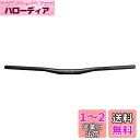 Funn(ファン) ブラックエース(Black Ace) 高強度炭素繊維自転車ハンドルバー、 クランプ径:φ31.8mm、幅785mm、ブラック、耐久性、衝撃吸...