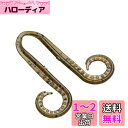 シマノ(SHIMANO) 炎月 集魚ネクタイ イカタコカーリー EW-004N 014 イソメグリパン