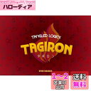 対戦型論理パズルゲーム タギロン(TAGIRON)