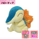 三英貿易(Sanei Boeki) ポケットモンスター ALL STAR COLLECTION ヒノアラシ (S) W11×D18×H14.5cm ぬいぐるみ ポケモン PP41