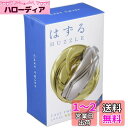 はずる キャスト ツイスト【難易度レベル4】