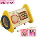 森の音楽会