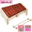 河合楽器製作所【セレクトシリーズ】 ボックスシロホン 9031-2
