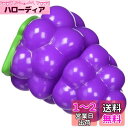 パーティークイーンシリーズ きってね ブドウ No.1133