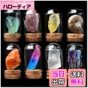 【送料無料】HIGHAWK岩石標本 天然石 ガラスカバー 鉱石 防塵 置物 オーナメント 展示 標本ボックス コレクション 地質科学 装飾品 小物(8セットC)
