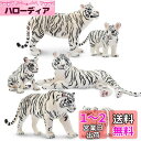 TOYMANY 6PCSホワイトタイガーフィギュア 動物フィギュア トラフィギュアセット 野生動物フィギュア 動物モデル 親子 家庭 リアルな動物模型 人気動物...