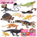 TOYMANY 12PCS野生動物フィギュアセット 冷血動物フィギュア 爬虫類 動物玩具モデル リアルな動物模型おもちゃ クモ ヤモリ カエル 誕生日プレゼント...
