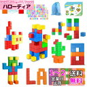 AMYCOOL マグネットパズル マグネットブロック 48個 30mm 立体パズル 積み木 知育玩具 3D おもちゃ 図形 算数 立方体 マグネット 脳トレ 初期教育 STEM教育キット 知育玩具 おもちゃランキング キューブ 長く遊べ 長く使え 幼児教室 パズルが大好き 誕生日 クリスマス プ