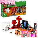 レゴ(LEGO) マインクラフト ネザーポータルの戦い おもちゃ 玩具 クリスマスプレゼント プレゼント ブロック 男の子 女の子 子供 7歳 8歳 9歳 10歳 小学生 マイクラ ネザー ガスト 21255