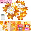 DERAYEE 秋の葉 ガーランド ハロウィン クリスマス 飾り 人工 紅葉 電池式 20個のLED 長さ3M ストリングライト ホーム 暖炉 (紅葉とパンプキンC)