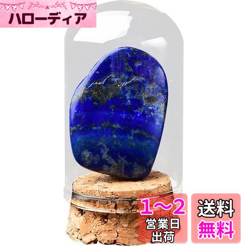 HIGHAWK 岩石標本 天然石 ガラスカバー 鉱石 防塵 置物 オーナメント ガラス瓶 展示 標本ボックス テーブル コレクション 地質科学 装飾品 小物(ラピスラズリプラスS)