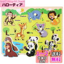 DERAYEE 型はめ 木製 パズル テトリス 平面タイプ 形合わせ 動物 1個セット 誕生日 プレゼント 積み木 (動物)