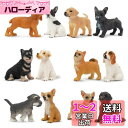 TOYMANY 12PCS犬フィギュアセット ミニ動物フィギュア 犬モデル リアルな動物模型 リアルな動物模型 ミニモデル 人気動物 おもちゃ 玩具 誕生日プレ...