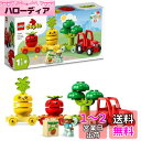 レゴ(LEGO) デュプロ はじめてのデュプロ やさいのトラクター 10982 おもちゃ ブロック プレゼント幼児 赤ちゃん ごっこ遊び 乗り物 のりもの 男の子 女の子 1歳半以上