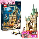レゴ(LEGO) ハリー・ポッター ホグワーツ(TM):必要の部屋 76413 おもちゃ ブロック プレゼント ファンタジー 魔法 男の子 女の子 8歳以上