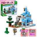 レゴ(LEGO) マインクラフト 凍った山頂 ギフト 21243 おもちゃ ブロック 誕生日プレゼント テレビゲーム 男の子 女の子 8歳以上
