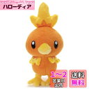 ポケットモンスター ポケモン キミにきめた! ぬいぐるみ アチャモ 高さ約26cm 726712