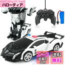 Tcvents ラジコンカー 変形 ロボット 車おもちゃ スタントカー ロボットに変身でき LED搭載 360度回転 リモコン RCカー モデルカー こども向け 子供おもちゃ 誕生日 クリスマス プレゼント (黒白)