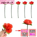 Coollooda フラワーマジック バラ サプライズ マジックセット(5個セット)折り畳み式 小道具 手品グッズ 定番マジック 手品用品 マジシャン 手品師 ...