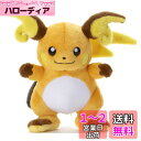ポケモン キミにきめた! ぬいぐるみ ライチュウ 高さ約23cm(3)