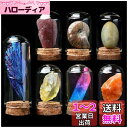 HIGHAWK岩石標本 天然石 ガラスカバー 鉱石 防塵 置物 オーナメント 展示 標本ボックス コレクション 地質科学 装飾品 小物(7セットA)