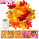 DERAYEE 秋の葉 ガーランド ハロウィン クリスマス 飾り 人工 紅葉 電池式 20個のLED 長さ3M ストリングライト ホーム 暖炉 (多色)