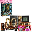 レゴ(LEGO) ハリー・ポッター ホグワーツ(TM)の教科書:闇の魔術に対する防衛術 76397 おもちゃ ブロック プレゼント ファンタジー 男の子 女の子...