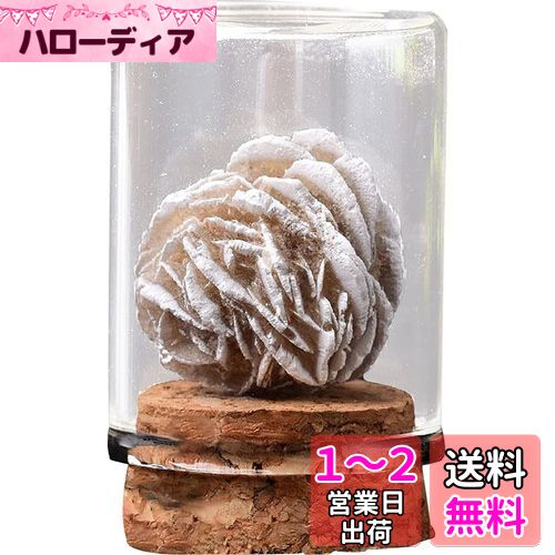 HIGHAWK 岩石標本 天然石 ガラスカバー 鉱石 防塵 置物 オーナメント 展示 標本ボックス テーブル コレクション 地質科学 装飾品 小物（砂漠バラS）