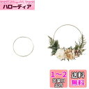 Lumierechat フープリース フープ リース 結婚式 フローラルフープリース フラフープ ゴールド ウェディング 装飾 飾りDIY a-b5118(ゴールド/直径20cm)