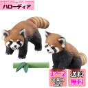 タカラトミー(TAKARA TOMY) アニア AS-35 レッサーパンダ 動物 恐竜 おもちゃ 3歳以上(3)