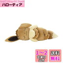 ポケモン すやすやフレンド ぬいぐるみS イーブイ 幅約28cm